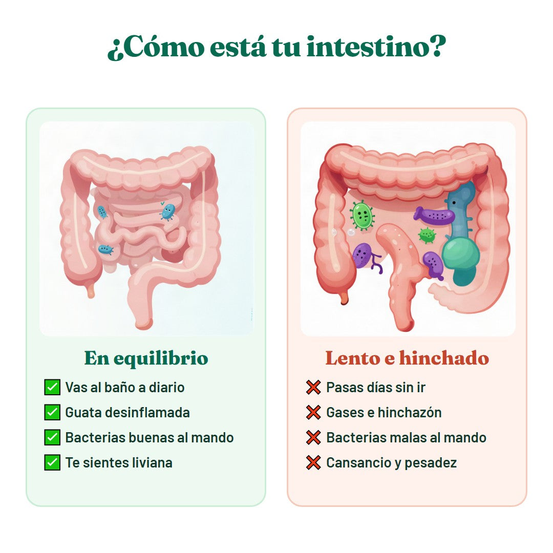 Un intestino «tapado»:
