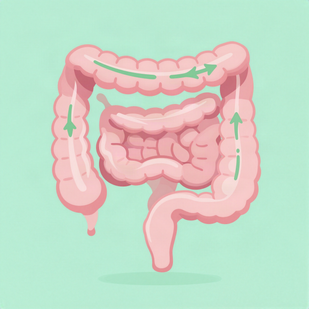 1. Activa el movimiento de tu intestino
